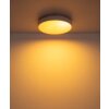 Globo Jess moderne LED plafondlamp rond 39 cm met afstandsbediening voor woonkamer