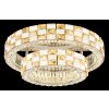Globo Lidia LED ringvormige plafondlamp Ø 61 cm voor woonkamer, hal en keuken