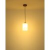 Globo Rowena hanglamp, pendellamp modern design E27 cilindervormig Ø 15 cm
