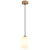 Globo Rowena hanglamp, pendellamp modern design E27 cilindervormig Ø 15 cm