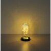 Globo Rosalina LED tafellamp decoratielamp glazen stolp met roos, 20 lichtjes