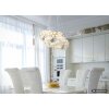Globo Lidia LED dubbele ring hoogteverstelbare hanglamp met afstandsbediening