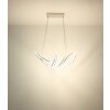 Globo Evangeline LED ringvormige hanglamp met afstandsbediening, 45 W, 5600 lm, 2700-6000 K, 60 cm