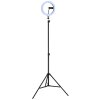 Globo Delgado LED ringlamp met smartphonehouder, 600 lumen, 2700-6500 K, 8 W