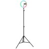 Globo Delgado LED ringlamp met smartphonehouder, 600 lumen, 2700-6500 K, 8 W