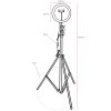 Globo Delgado LED ringlamp met smartphonehouder, 600 lumen, 2700-6500 K, 8 W