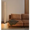 Globo Hayden langwerpige LED vloerlamp met verticale lichtstrips, moderne staande lamp