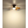 Globo Delores LED plafondventilator met verlichting, 560 lm, 5 W, 2700/6500 K