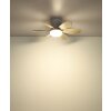 Globo Delores LED design plafondventilator met verlichting 560 lm 2700-6500 K 5 W