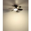 Globo Delores LED plafondventilator met lamp, afstandsbediening, 2700-6500K, 560 lm, 5 W