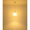Globo Swanson hanglamp rond Ø 20 cm hoogte 120 cm E27 40 Watt voor boven de tafel