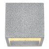 Globo Ferguson moderne kubusvormige buitenwandlamp G9 voor buiten en garage