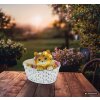 Globo Solar kat in bloemenmand solar tuinlamp LED 8 lichtpunten voor buiten