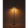 Globo DYNARO LED staande zonnelamp voor terras en tuin, moderne padverlichting