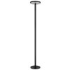 Globo DYNARO LED staande zonnelamp voor terras en tuin, moderne padverlichting
