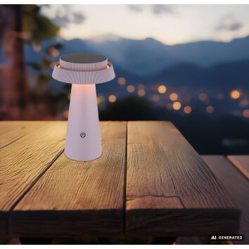 Globo MIRALIE LED zonnelamp voor buiten, moderne tuinpadverlichting, Ø 14 cm