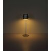 Globo VANNIESO LED zonnelamp voor buiten en padverlichting, conisch, met aan/uitschakelaar