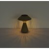 Globo ISALIE LED solar tafellamp voor buiten, decoratieve moderne tuinverlichting