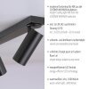 SCHÖNER WOHNEN-Kollektion RIK plafondspot 3-lichts GU10 draaibare spotkoppen