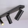 SCHÖNER WOHNEN-Kollektion RIK plafondspot 3-lichts GU10 draaibare spotkoppen