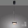 SCHÖNER WOHNEN-Kollektion ELMO in hoogte verstelbare hanglamp LED 3000 Kelvin 2400 Lumen 18 Watt