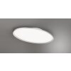 Trio Leuchten Ovale plafondlamp LED, platte vorm, titankleurig, 6500 Kelvin daglichtwit