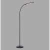 Paul Neuhaus LED booglamp ELLY, verstelbaar, lichtkleur instelbaar 2700-5000 Kelvin