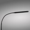 Paul Neuhaus LED booglamp ELLY, verstelbaar, lichtkleur instelbaar 2700-5000 Kelvin