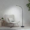 Paul Neuhaus LED booglamp ELLY, verstelbaar, lichtkleur instelbaar 2700-5000 Kelvin