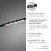 Paul Neuhaus LED booglamp ELLY, verstelbaar, lichtkleur instelbaar 2700-5000 Kelvin