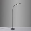 Paul Neuhaus LED booglamp ELLY, verstelbaar, lichtkleur instelbaar 2700-5000 Kelvin