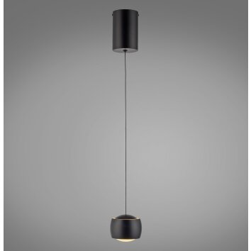 Leuchten Direkt LED hanglamp BALLINI, bolkap, verstelbaar, zwart, 3000 Kelvin warmwit