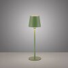 Leuchten Direkt groene LED tafellamp BOTERIA, geheugenfunctie, kantelbare kap, IP54