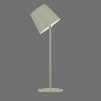 Leuchten Direkt groene LED tafellamp BOTERIA, geheugenfunctie, kantelbare kap, IP54