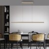 Paul Neuhaus verstelbare LED hanglamp ADRIANA, instelbare lichtkleur 2700-5000 Kelvin