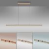 Paul Neuhaus verstelbare LED hanglamp ADRIANA, instelbare lichtkleur 2700-5000 Kelvin