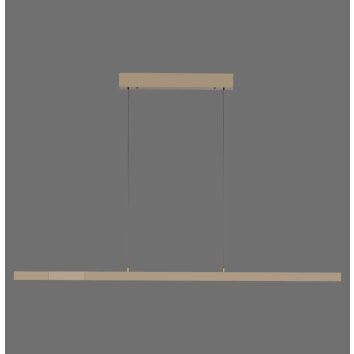 Paul Neuhaus verstelbare LED hanglamp ADRIANA, instelbare lichtkleur 2700-5000 Kelvin