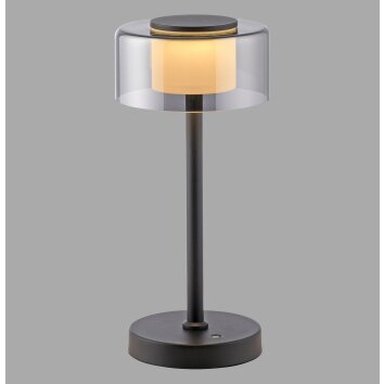 Paul Neuhaus LED tafellamp RIKA, rookglaskap, geheugenfunctie, warmwit 3000 Kelvin