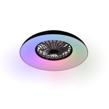 Reality plafondventilator Svaerholt, dimbaar, RGB, instelbare lichtkleur 2700-6500 Kelvin