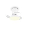 Reality LED plafondventilator met licht Moss, instelbare lichtkleur 2700-6500 Kelvin