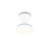 Reality LED plafondventilator met licht Moss, instelbare lichtkleur 2700-6500 Kelvin