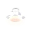 Reality LED plafondventilator Boras, instelbare lichtkleur 2700-6500 Kelvin