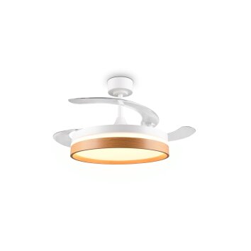 Reality LED plafondventilator Volda, instelbare lichtkleur 2700-6500 Kelvin
