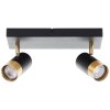 Brilliant plafondspot Vigolo met 2 cilinderkoppen voor hal en entree, 3000 Kelvin warmwit