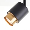 Brilliant plafondspot Covelo met 3 draaibare zwart-gouden koppen, 3000 kelvin warmwit