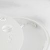 Brilliant LED plafondlamp Samora, vlak en rond, lichtkleur instelbaar 2700-6500 Kelvin