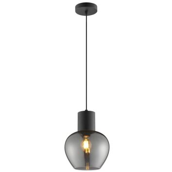 Brilliant Moderne druppelvormige hanglamp Ligari met rookkleurige glazen kap