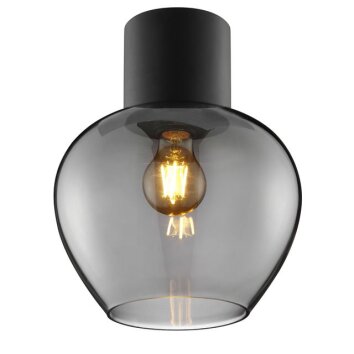 Brilliant Leuchten Druppelvormige plafondlamp Ligari met rookkleurige glazen kap