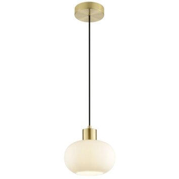 Brilliant Leuchten hanglamp Fanny met messingkleurig frame en ronde witte glazen kap