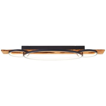Brilliant LED plafondlamp Pirus met geheugenfunctie, houten draaglat en 3 ronde LED-elementen